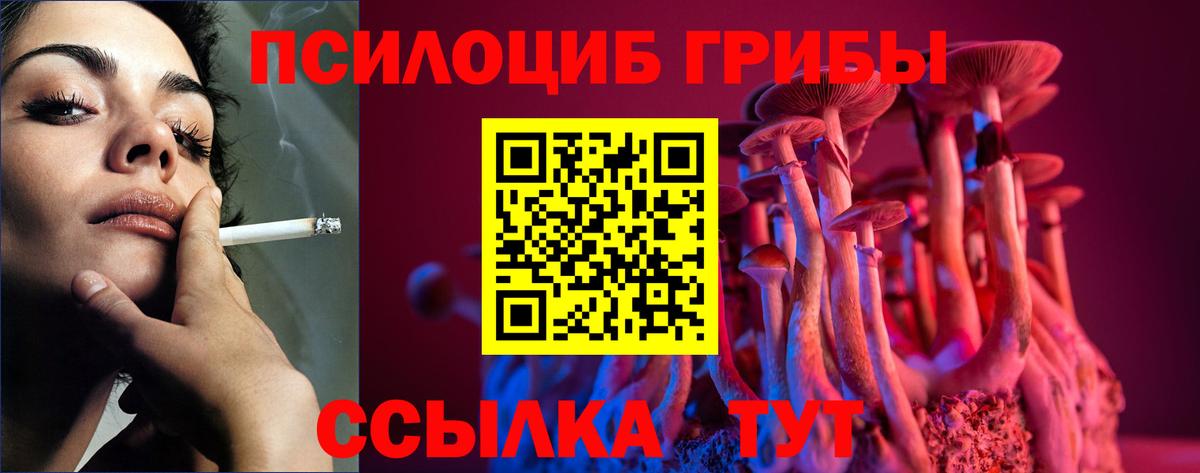Галлюциногенные грибы Cubensis  Вход с VPN  Лениногорск 